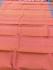 PL Saree Negamam Jacquard Border